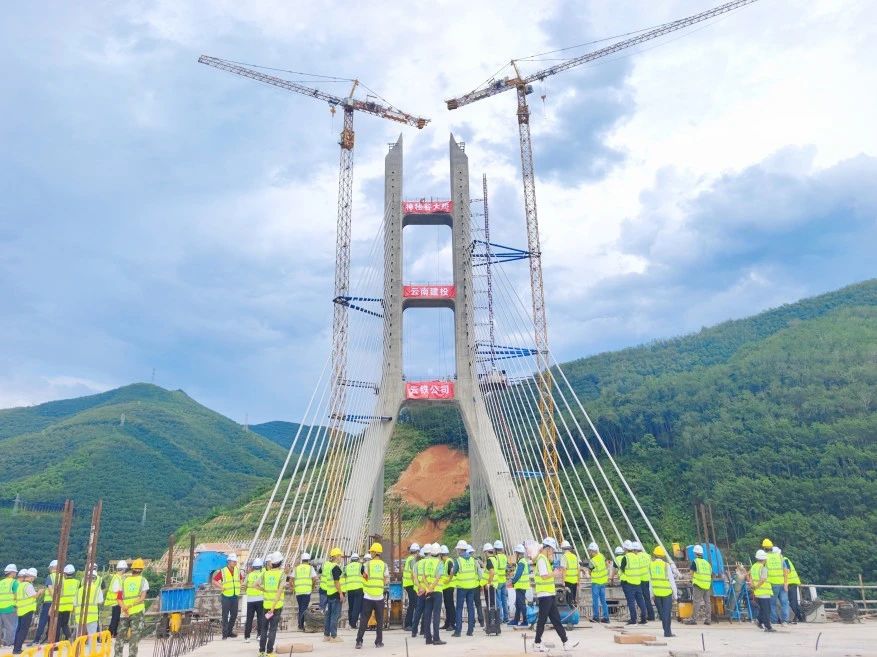 1699235583476154.jpg 2.jpg