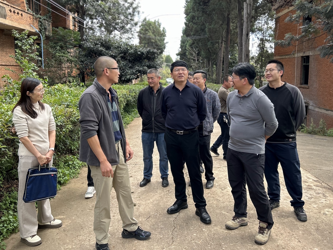 1761784927360699.jpg 69.jpg